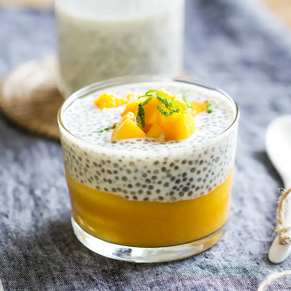 Pudding Chia